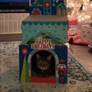 Meet your Posher, Maddie